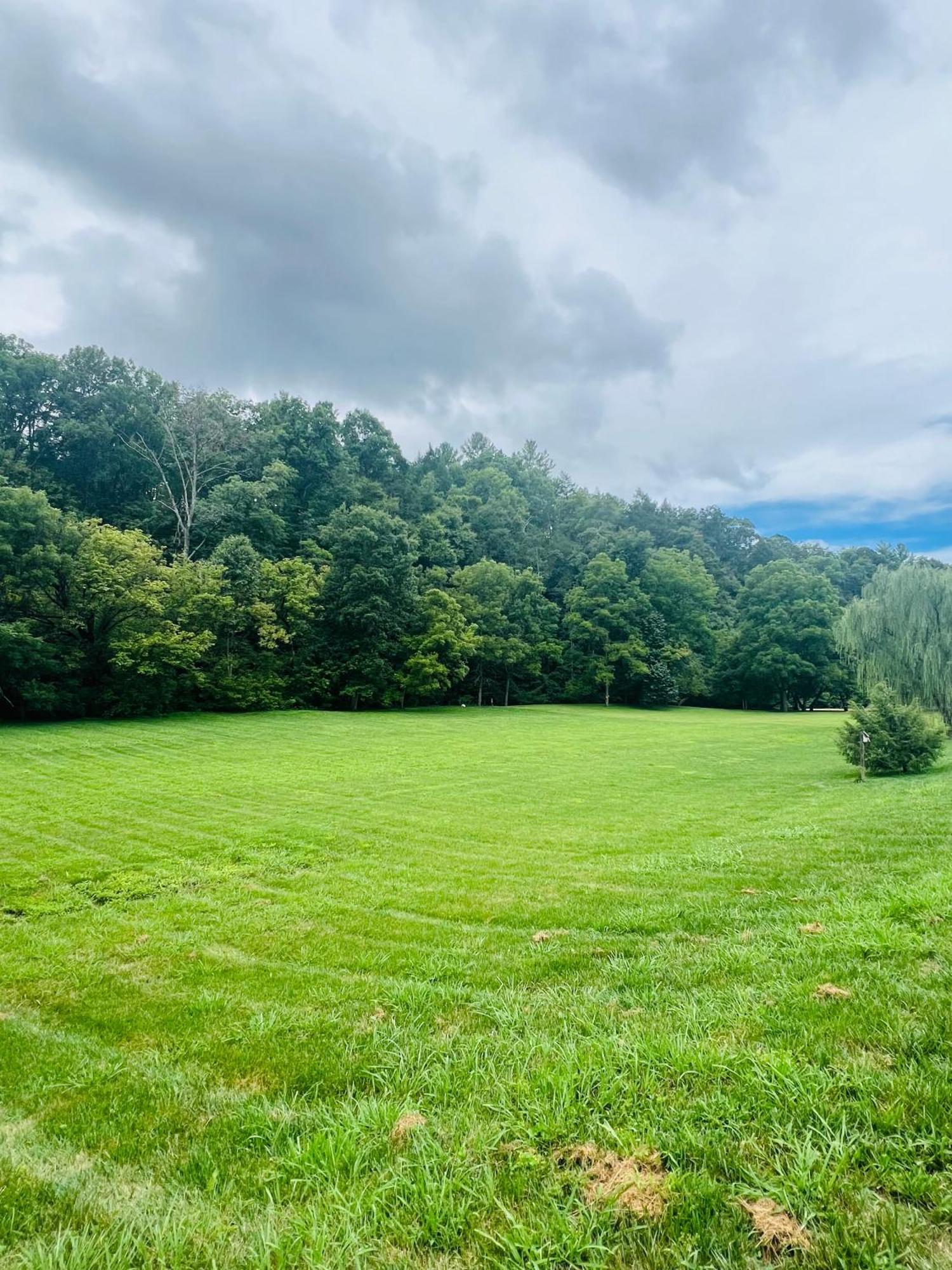 Firefly Fields 2-Acres With Guest House, Game Room, Mountain & River Views سيفيرفيل المظهر الخارجي الصورة
